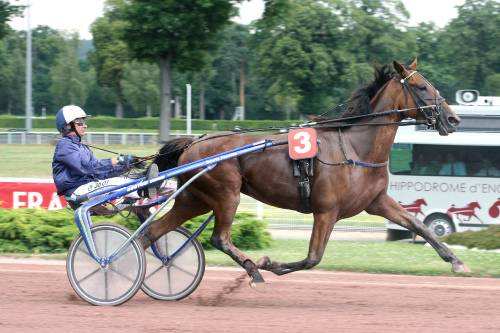 STAR DU COGLAIS