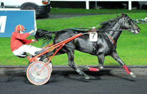 TEANE DE CHICHEVET