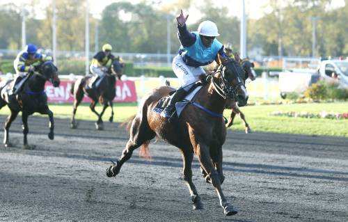 Roxane Griff PRIX REYNOLDS