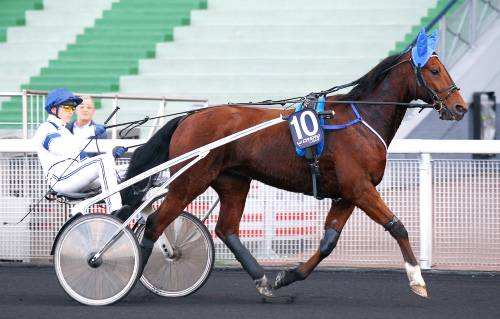 REVE D'HAUFOR