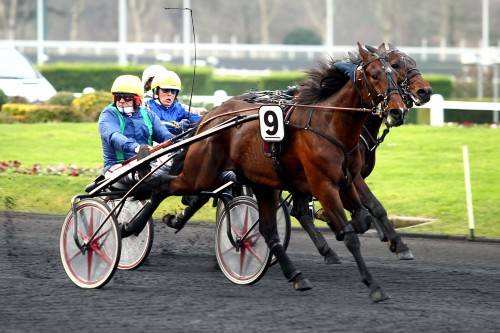 Brillantissime PRIX MAURICE DE GHEEST