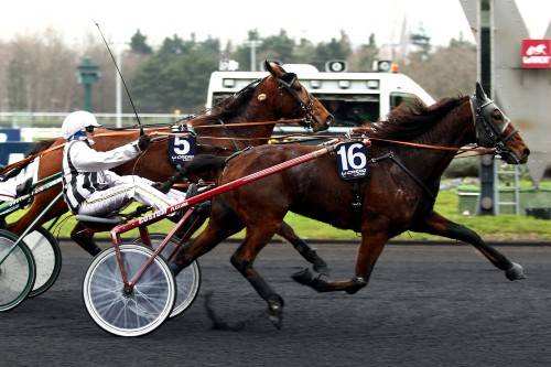 Prix De Joinville Quinte