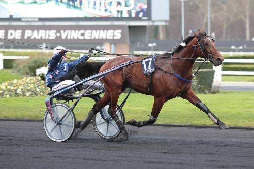 Ulf Du Noyer