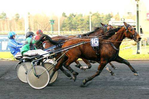 Prix De Brest 2014