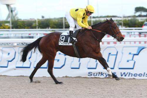 HOLLY FILLY