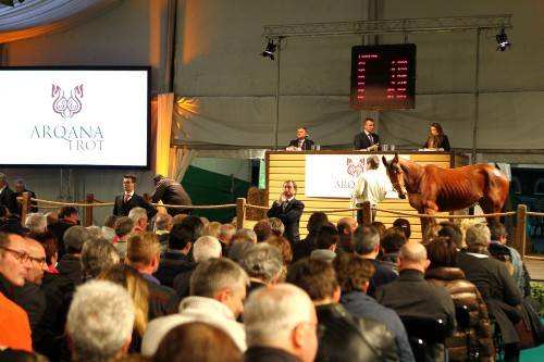Ventes Arqana Du Prix Damerique 2014