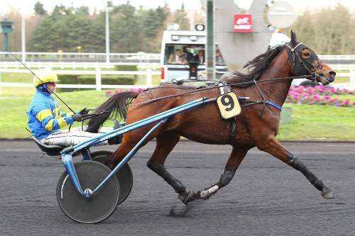 ANGELROC FARCAP