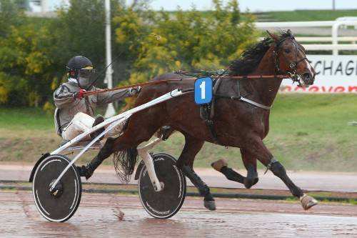 BOIORIX BANVILLE