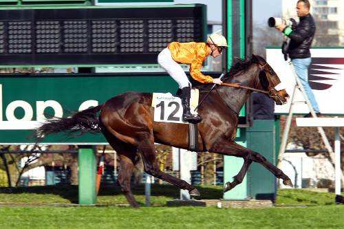 Prix Teddy Quinte