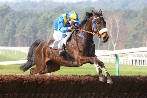 ROI DE FRANCE