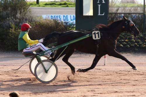RASTA DU PONT