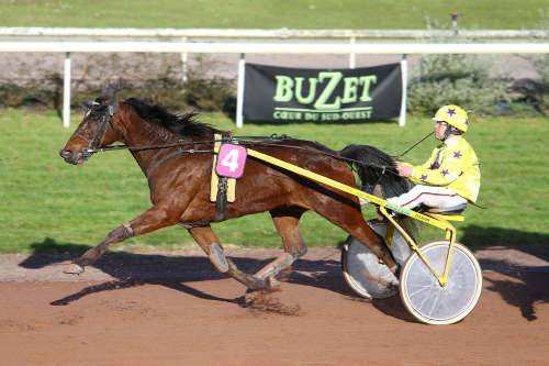 TILBURY DU PLESSIS