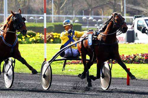 Prix Robert Auvray 2014
