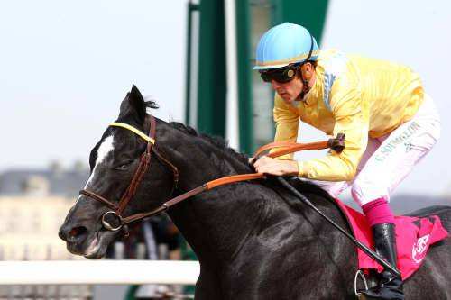 Zlatan In Paris PRIX CHANTILLY CAPITALE DU CHEVAL