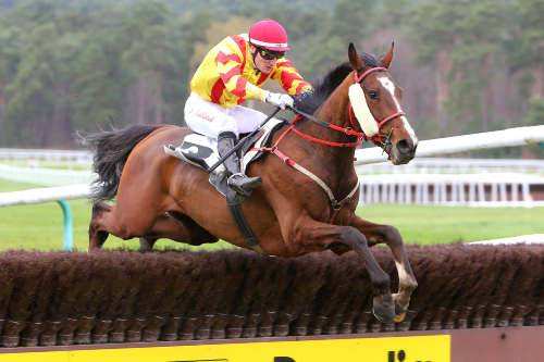 CRACK DU VITOU