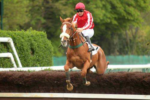 BYE BYE D'ORTIGE