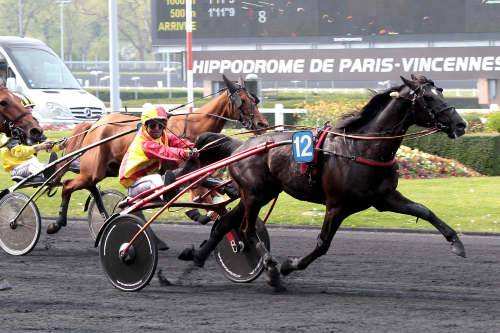 Prix Henri Levesque 2014