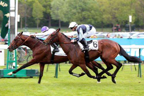 Prix De Fontainebleau