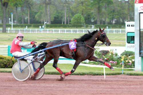 TREIZE DE FAB