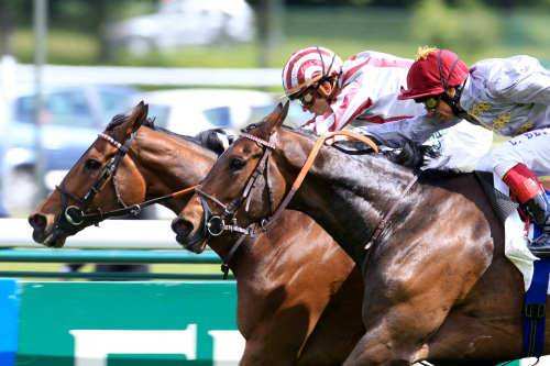 Prix Ganay 2014