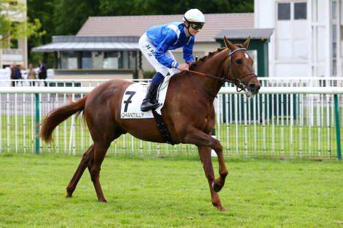 PEPIN LE BREF