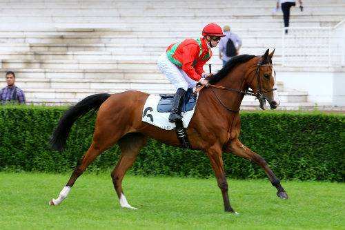 JEANPASCAL