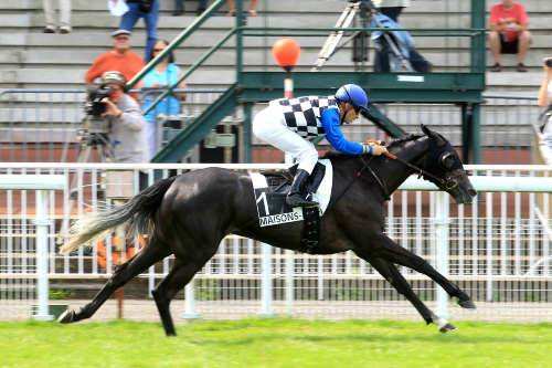 VERBA STARS