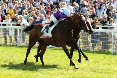 Grand Prix De Deauville Lucien Barriere 2014