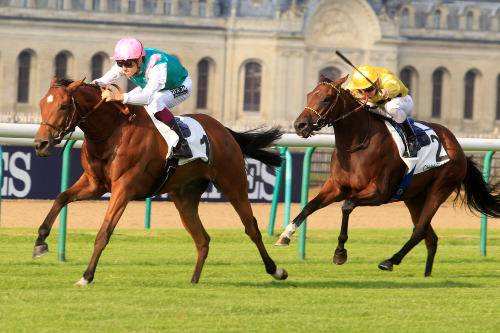 Prix De La Cochere 2014