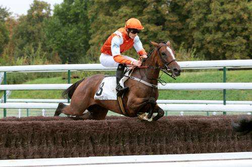 AUDACE D'AINAY