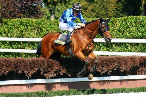 ASTER NEUVILLE
