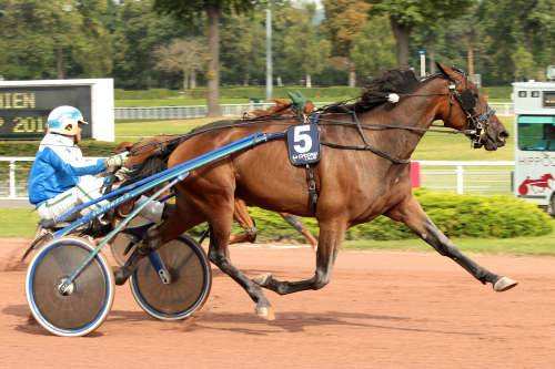 Prix D'egletons 2014