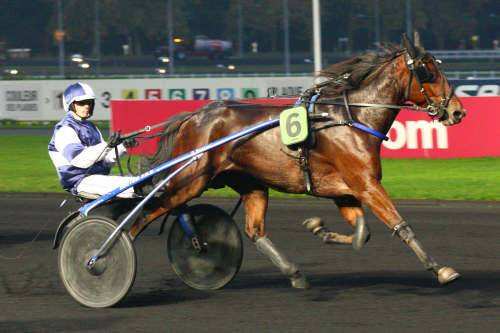 BRISE MARINE