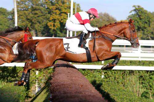 PAULIN DE SOURNIAC