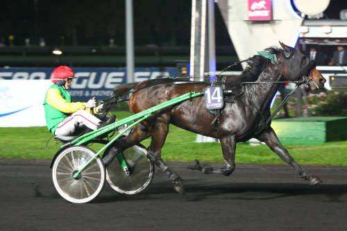 Prix Gemma 2014