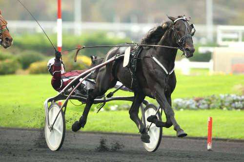 Prix De Chenonceaux 2014