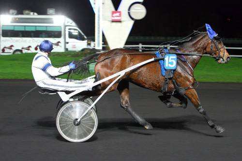 BASTIA HAUFOR