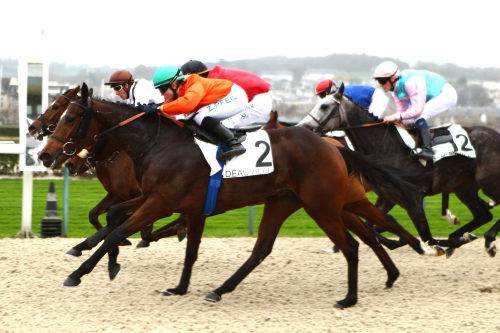 IRELAND'S TEARDROP