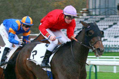 Prix Lyphard 2014