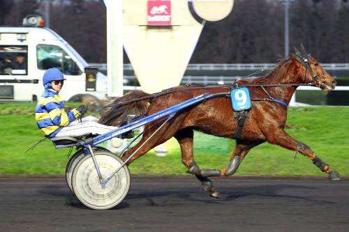 BIJOU DE FIRFOL 