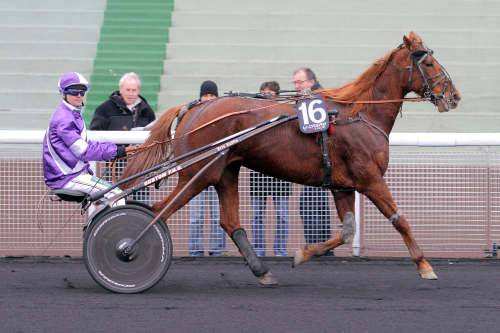 URANIE D'ALLOER
