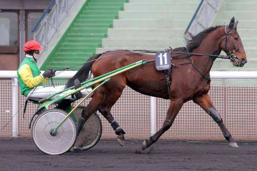 UNE DES FRICHOTS