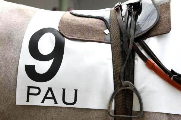 Pau tapis selle galop