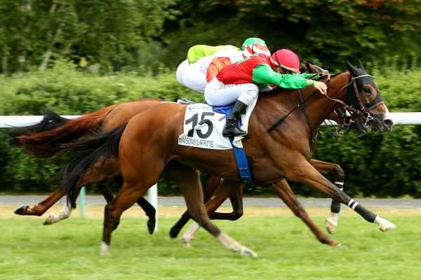 Prix De La Ville De Maisons Laffitte