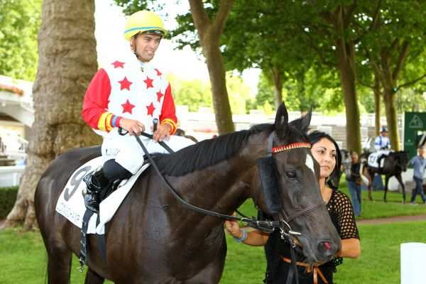 BRIGHTON BELLE