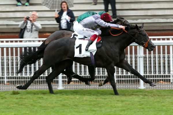 Prix Robert Papin 2015