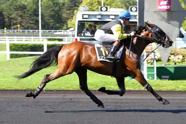 VERLAINE D'EM