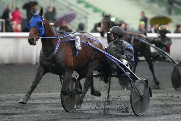 Timoko