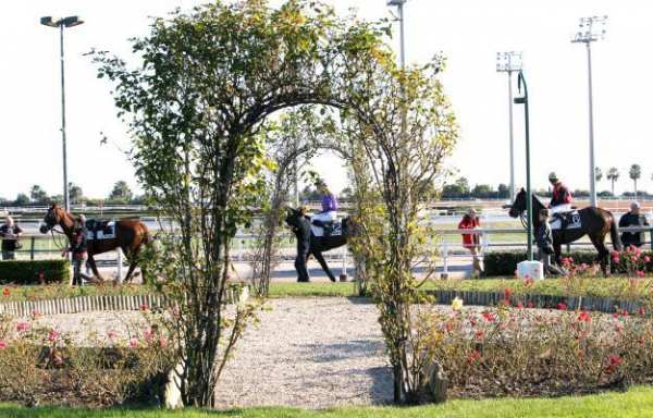 Cagnes Sur Mer Rond De Présentation