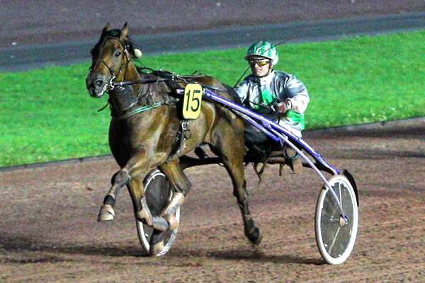 ASCOT DE L'OISON